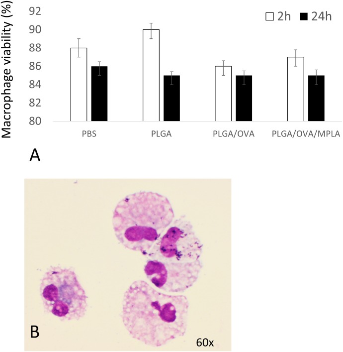 Fig 7