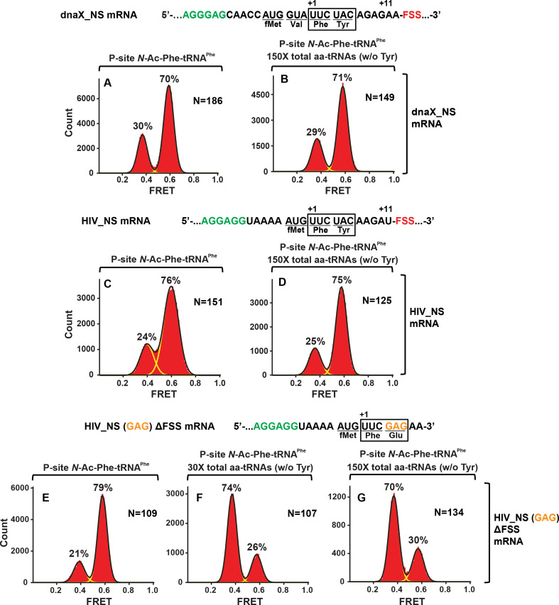 Figure 5—figure supplement 1.