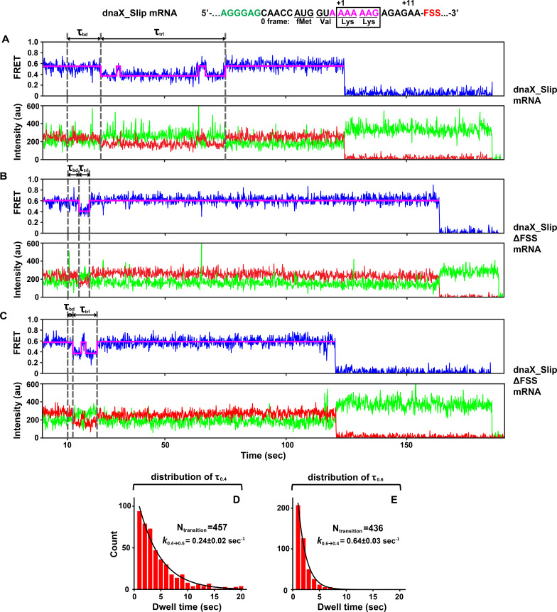 Figure 2—figure supplement 1.