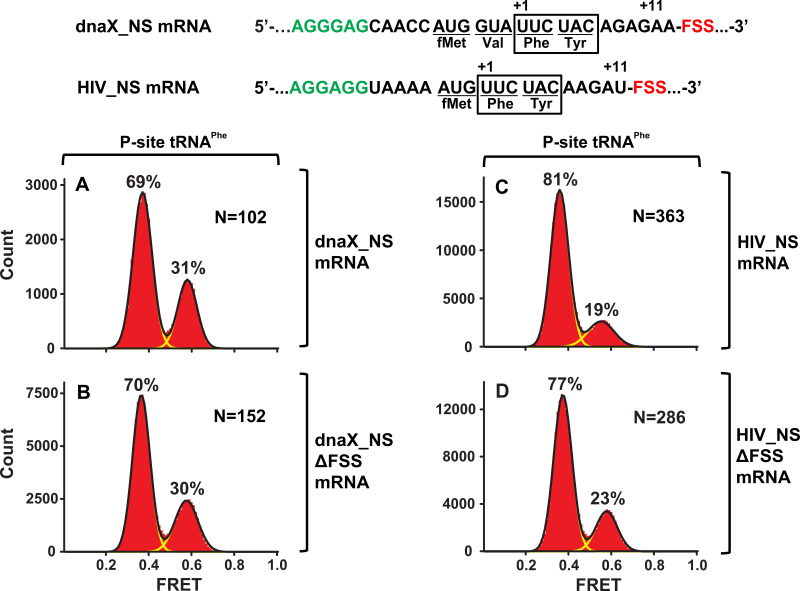 Figure 5—figure supplement 2.