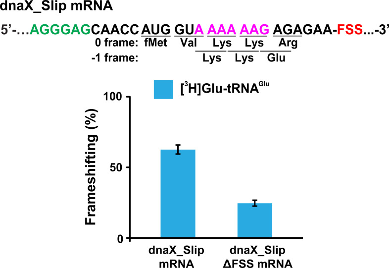 Figure 1—figure supplement 1.