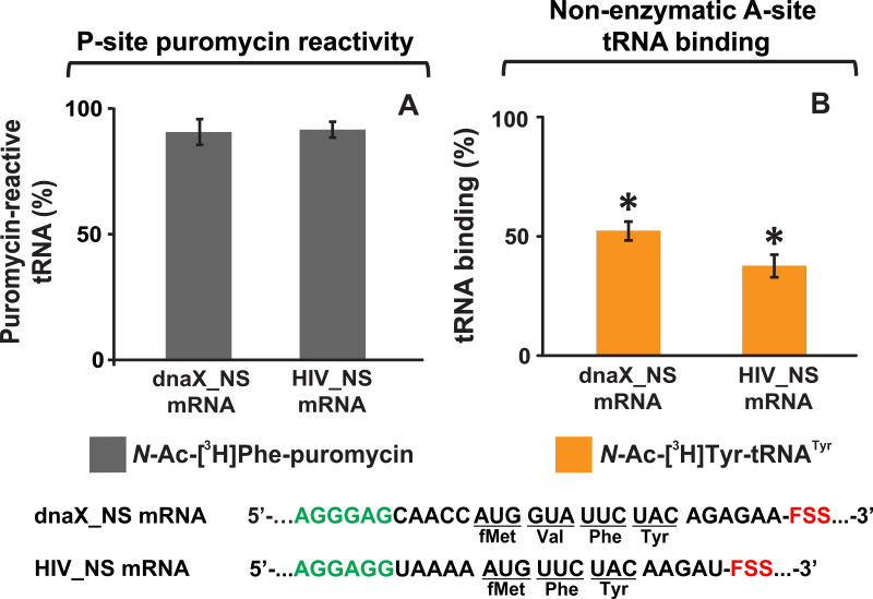 Figure 6—figure supplement 1.