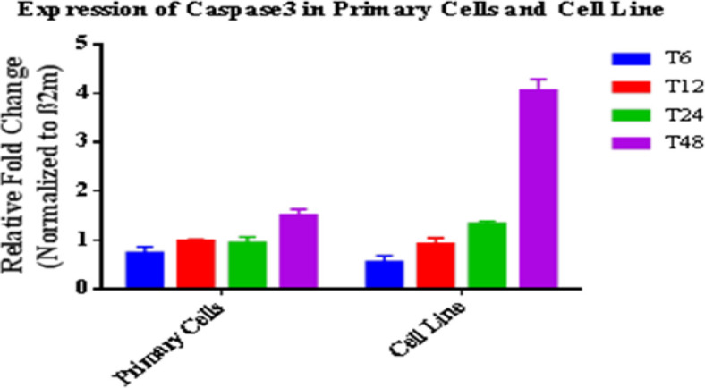 Fig. 2: