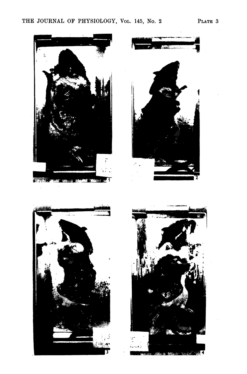 352-3