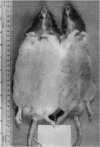 352-2