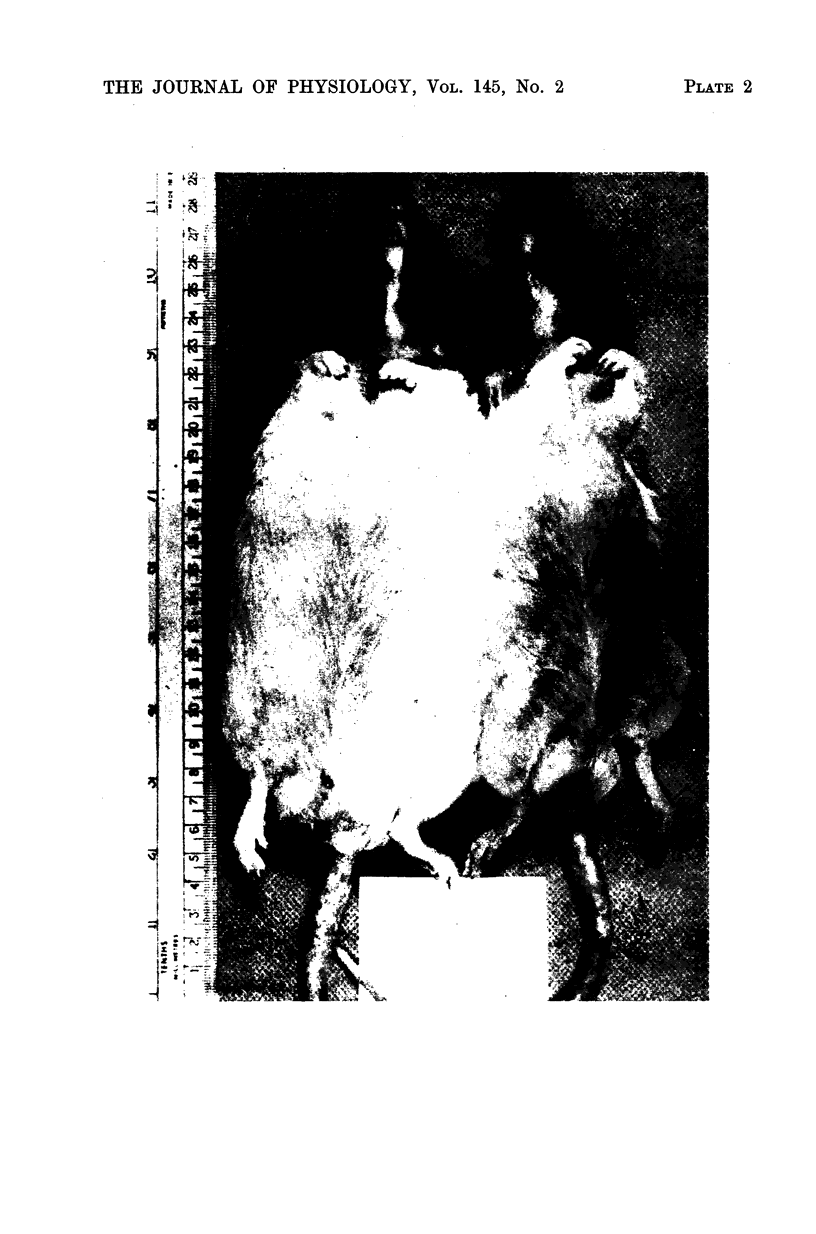 352-2