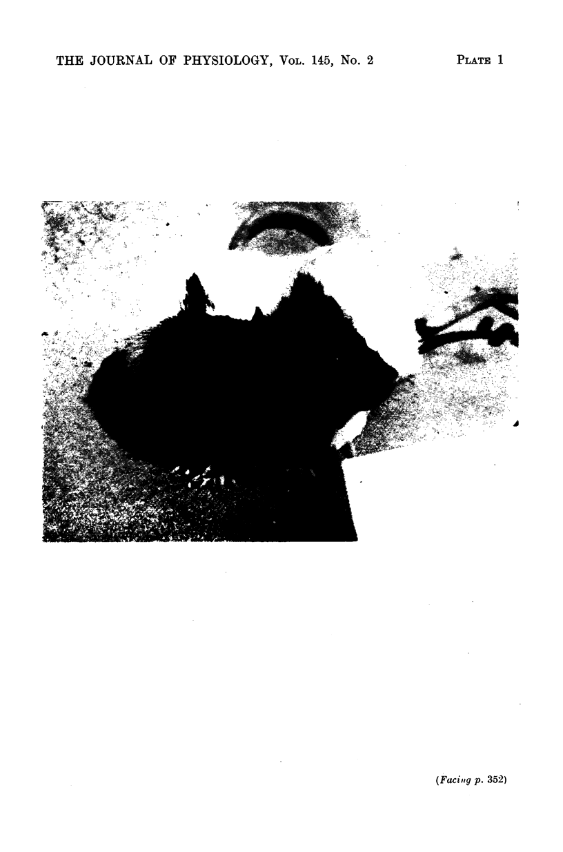 352-1
