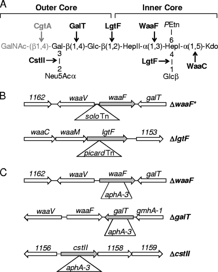 FIG. 1.