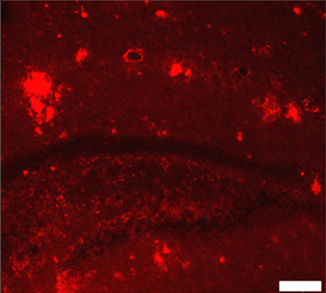 Figure 3a: