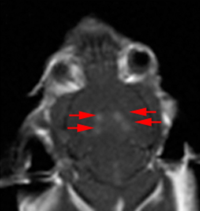 Figure 1c: