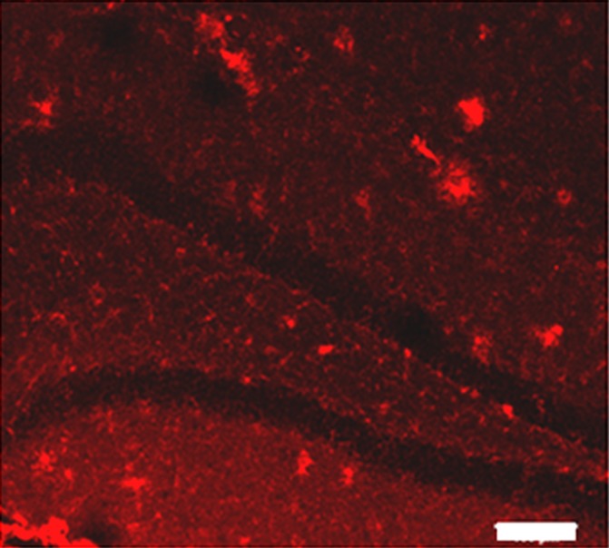 Figure 3b: