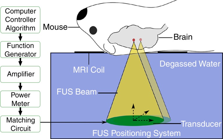 Figure 1f: