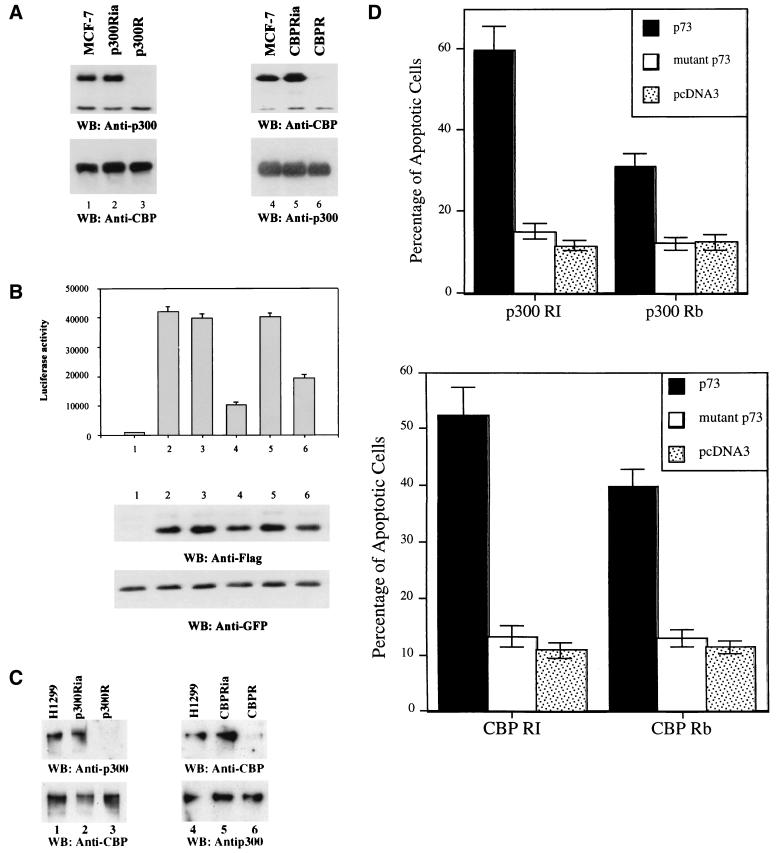 FIG. 7