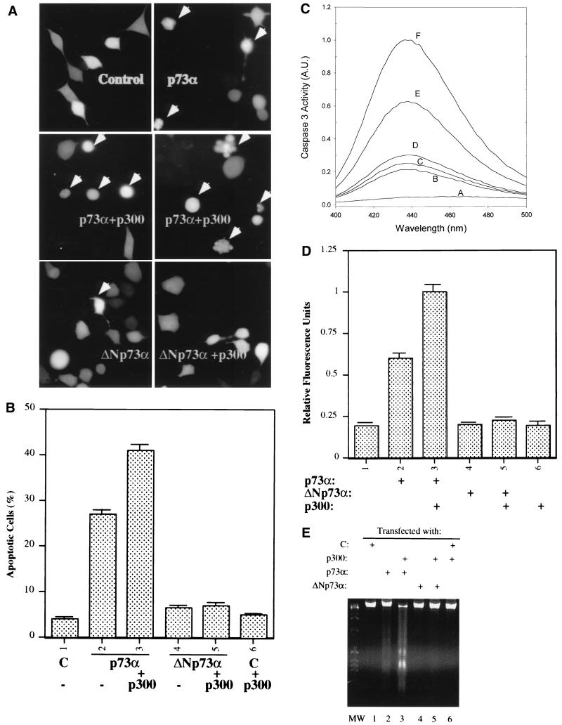 FIG. 6