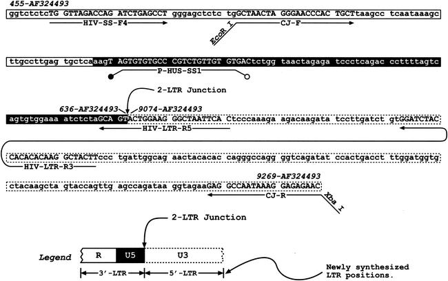 FIG. 2.