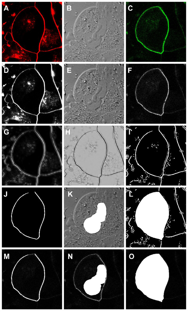 Figure 2