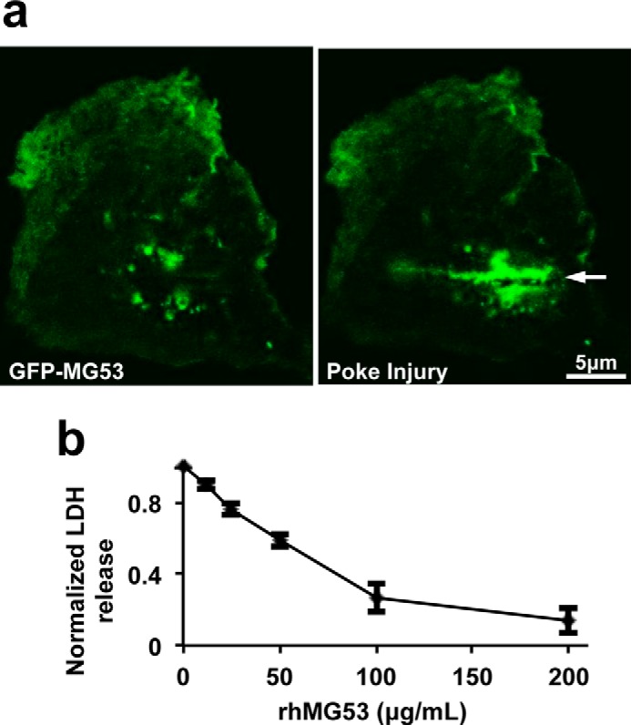 FIGURE 3.