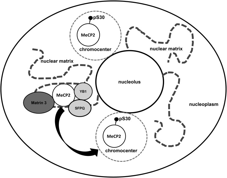 Figure 9.