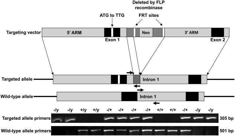 Figure 1.