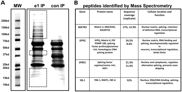 Figure 6.