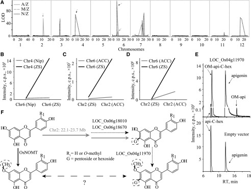 Figure 6.