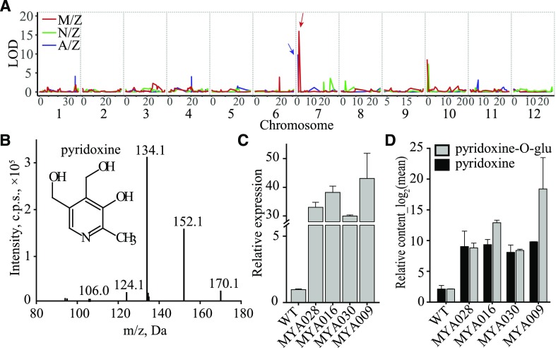 Figure 3.