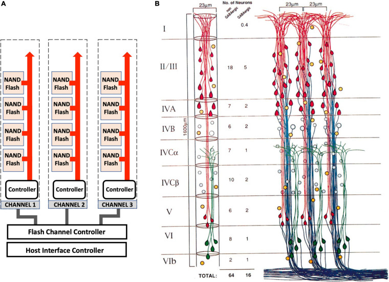 FIGURE 6