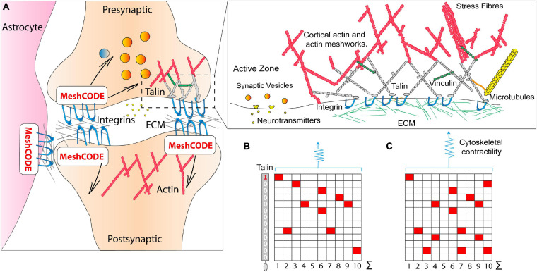 FIGURE 3