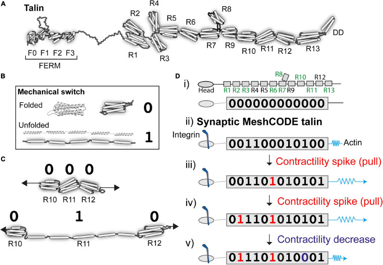 FIGURE 2