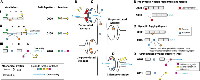 FIGURE 4