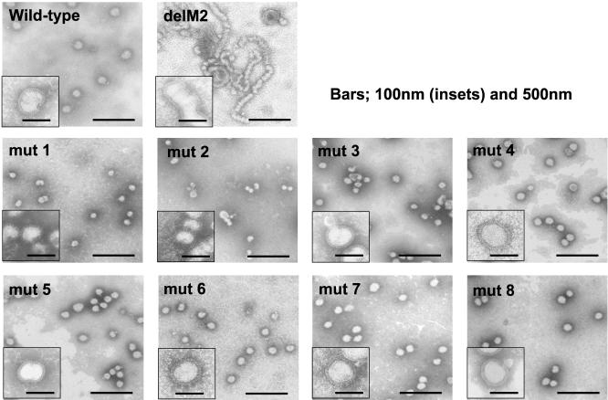 FIG. 8.