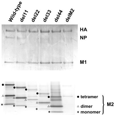 FIG. 3.