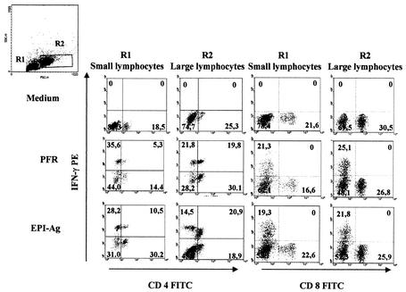 FIG. 6.