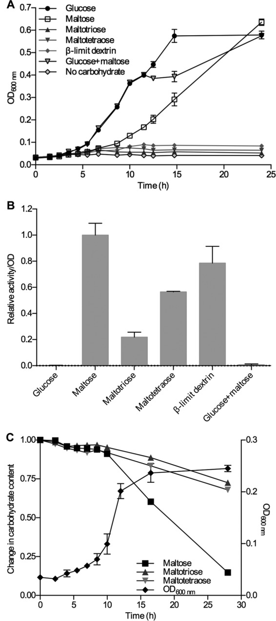 FIG 3