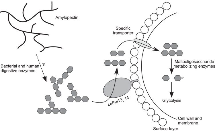 FIG 5