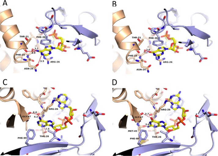 FIGURE 4.