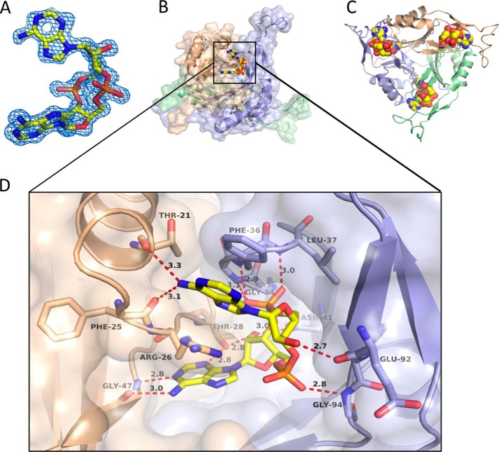 FIGURE 3.