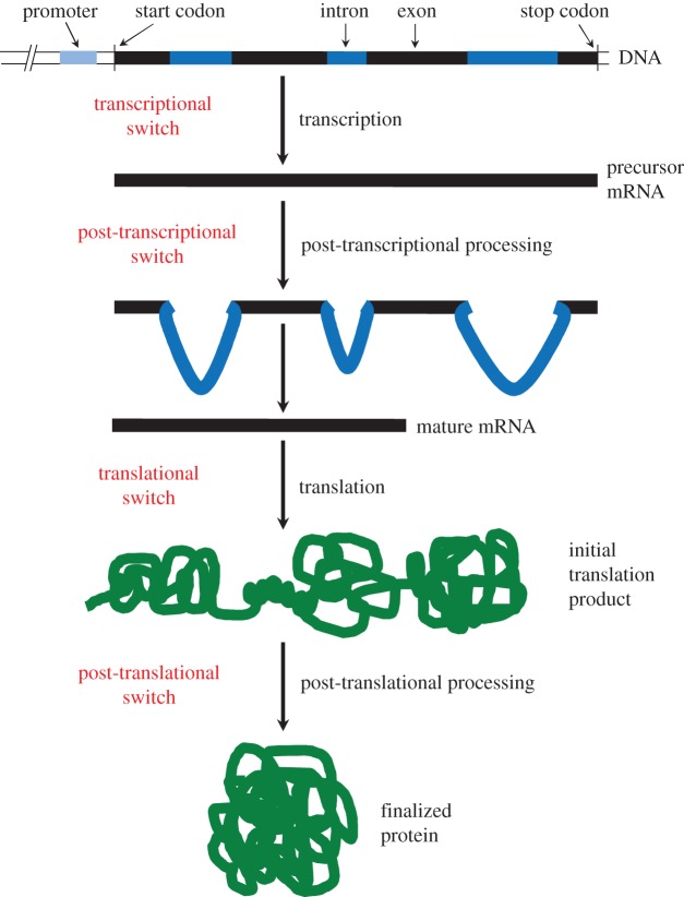 Figure 1.