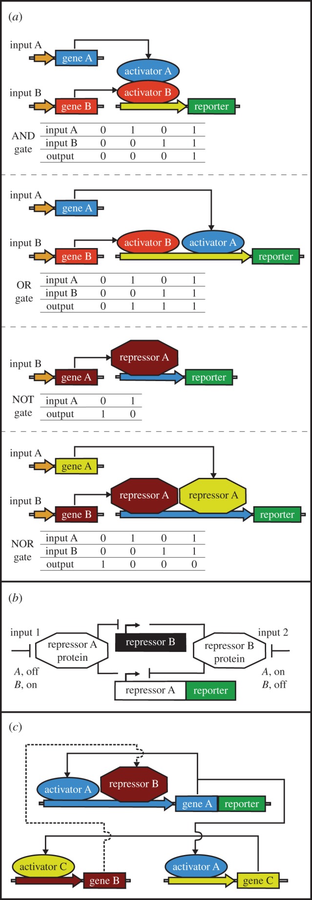 Figure 2.