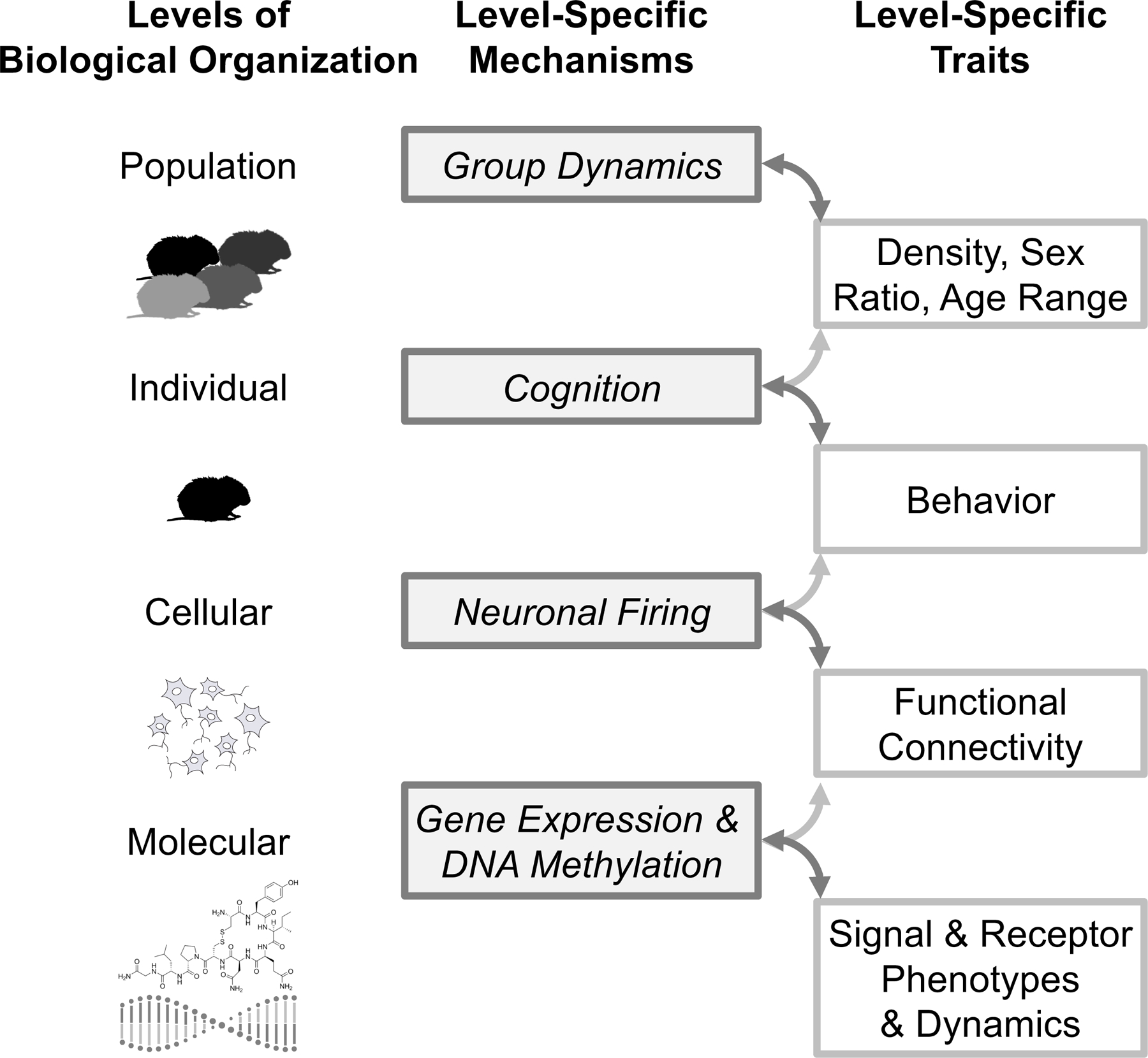 Figure 1: