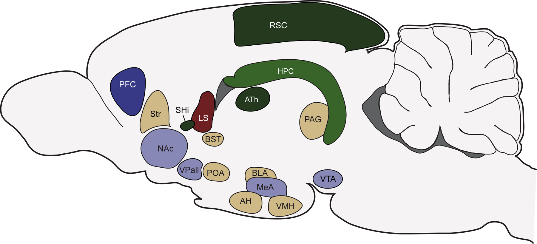 Figure 2: