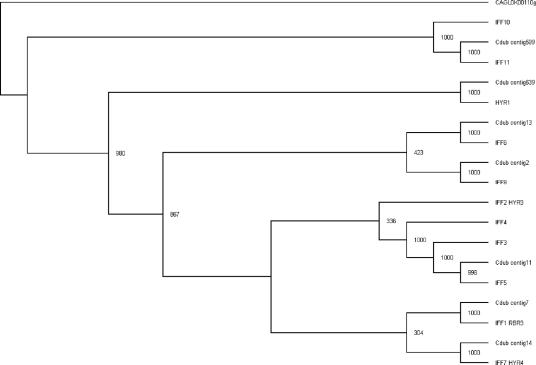 FIG. 3.