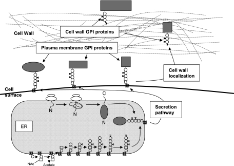 FIG. 4.