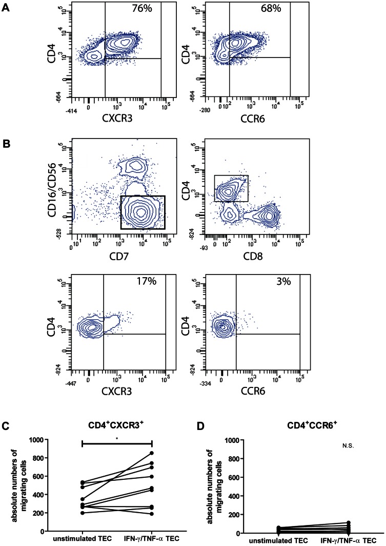 Differential effects of renal tubular epithelial cells on T-cell migration.