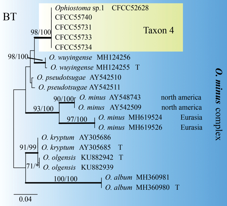 Figure 7.