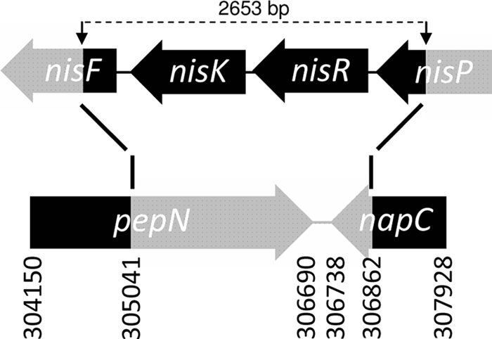 FIG. 1.