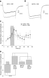 Fig. 9.