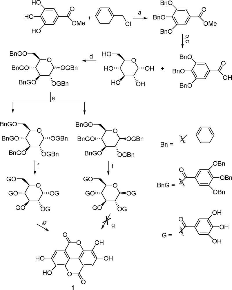 Scheme 1