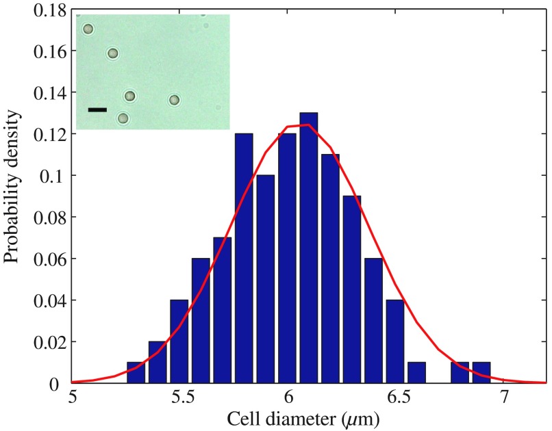 Fig. 9