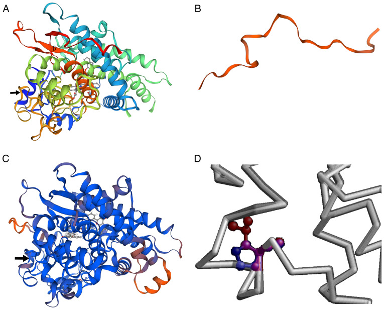 Figure 5.